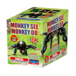 Monkey See Monkey Do