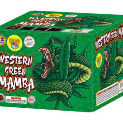 Western Green Mamba